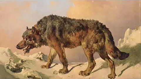 What is Coercive Control?: 12 Wolf-like features found in Cults