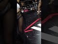 Lana Rhoades inspired tattoo on ring girl