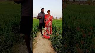 February 15, 2025Megale Eevelaa