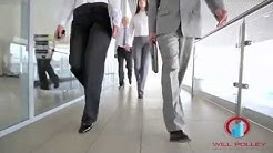 will polley search engine marketing 