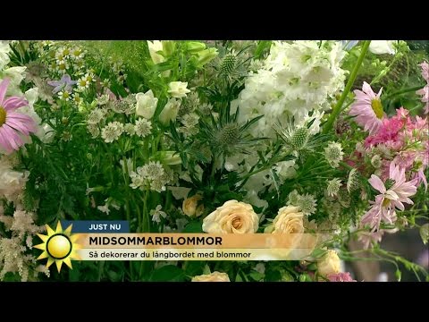 Video: Snygg rumsdekoration: dekorera med blommor