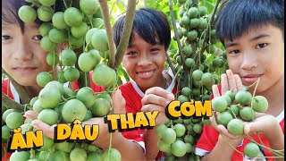 Tony | Thử Thách Ăn Hết Vườn Dâu - Kỉ Niệm Ám Ảnh