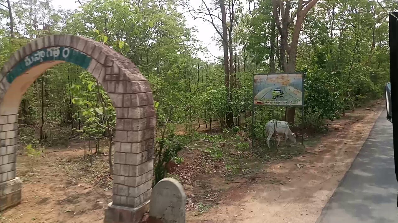 Eturunagaram deep forest view