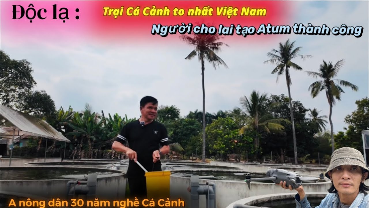 Độc Lạ khám phá trại Cá Cảnh to nhất Việt Nam - Thái vê lốc 