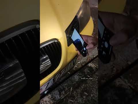 Polish Guy Finds a Tiny Snail on His Car Hood! 🚗🐌😂