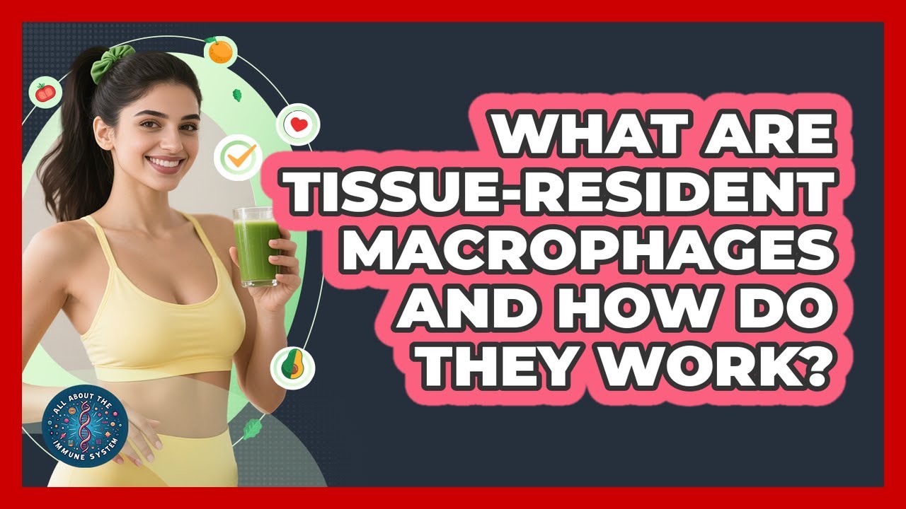 What Are Tissue-resident Macrophages And How Do They Work? - All About the Immune System