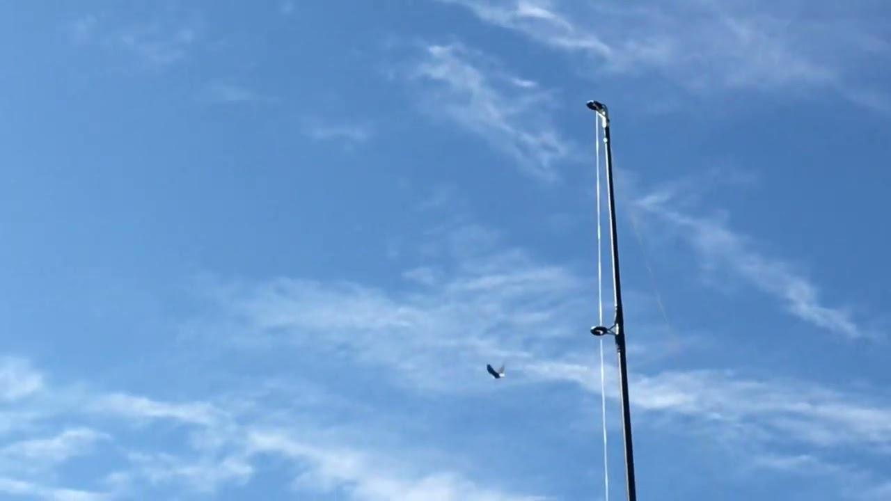 UFO Unexpectedly Flies By  