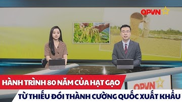Hành trình 80 năm của hạt gạo: Từ nước thiếu đói thành cường quốc xuất khẩu