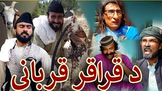 Bakra Eid Moments Funny Video By Takar Vines 2020 || Da Quraqwar Qurbani