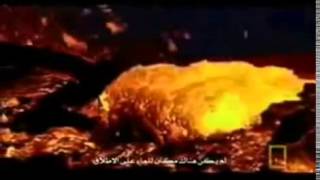 اكتشاف علمى صدم العالم على اليوتيوب هل سيصدمك؟! flv