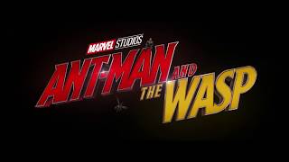 Ant Man & The Wasp #WaspWings Wall at Walt Disney World