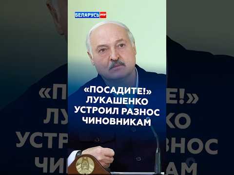 Лукашенко устроил разнос чиновникам! #лукашенко #новости #политика #первый #батька #ртр