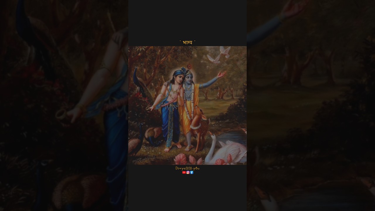 Efforts Matter But...!✨ | Krishna Status | 