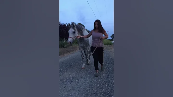 Braveheart walking in hand- out and back