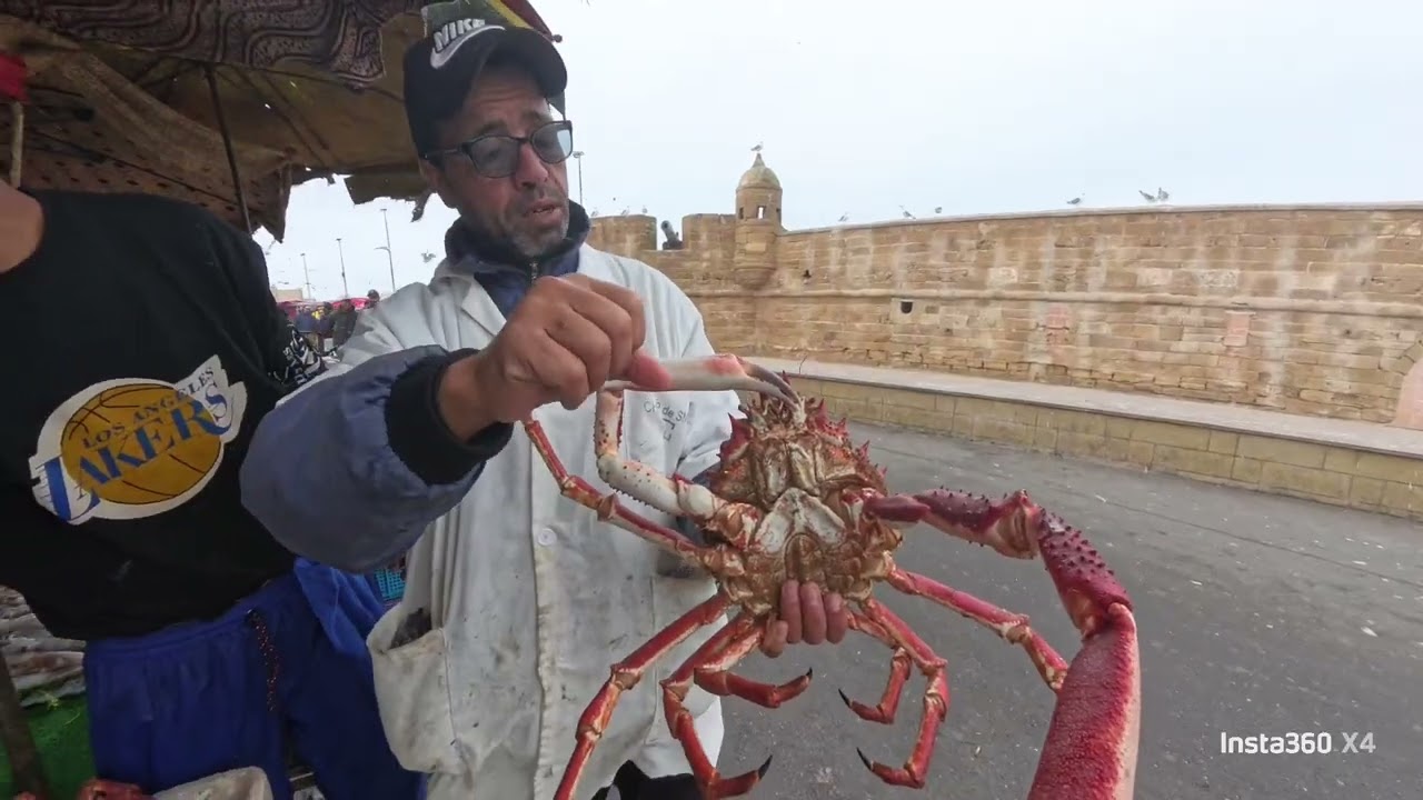 ESSAOUIRA LE RETOUR DES POISSONS SUR LE PORT !! ❤️ #essaouira #travel #explore #maroc