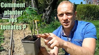 Comment planter ses tomates [TUTO] ?