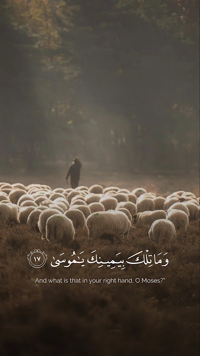 وما تلك بيمينك يا موسى || القارئ كامل يوسف البهتيمي..#البهتيمي #كامل_يوسف_البهتيمي