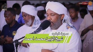 مقطع من تراويح اليوم الاول 1446 || ايات من سورة البقره || من مدينة بورتسودان || شيخ الزين محمد احمد