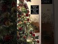 Feedback sobre as árvores da @actiondeutschland1 #arvoredenatal #christmastree #natal