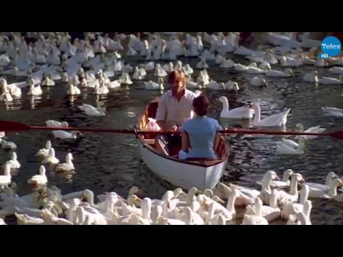 კინობიბლიოთეკა - უბის წიგნაკი (მეთორმეტე ნაწილი)