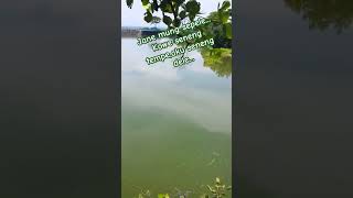 paser ikan//paser mania//waduk sangiran ngawi. #fishunting #pasermania #fishing #momenepic