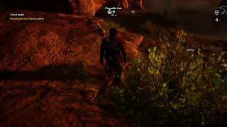 Bayek Finds Inner Peace