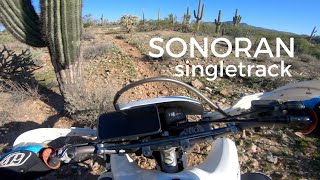 Searching for Singletrack in the Sonoran Desert
