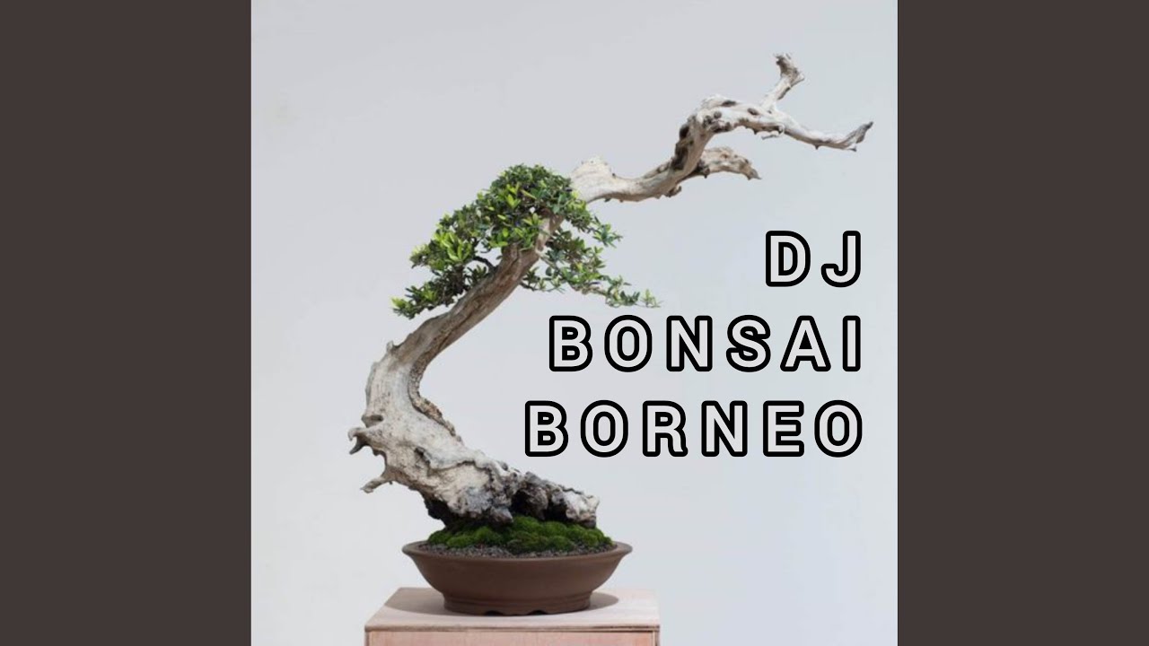 DJ ALE ALE MAGIC IN THE AIR BREAKBEAT REMIX FULL BASS JEDAG JEDUG FYP