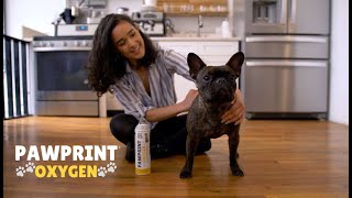 Pawprint Oxygen - Portable Oxygen for Pets