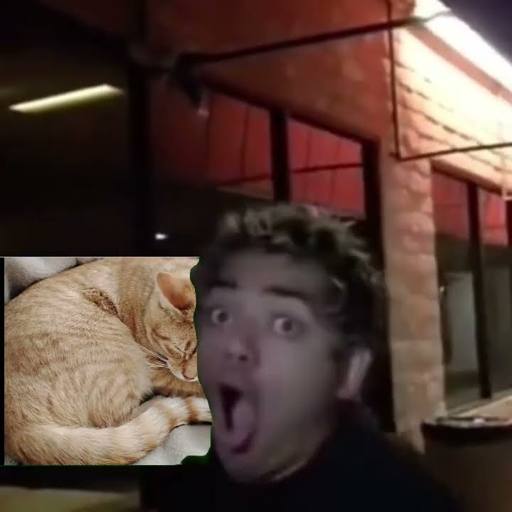 Timmy Rizz Timmy at 3 AM!!!! #3am #memes #funny #sigma #rizz - YouTube