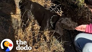 Cyclist Finds Puppy In The Middle Of Nowhere | The Dodo