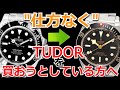 【ROLEXかTUDORか】本当はロレックスが欲しいが、妥協してチューダーを買おうとしている方へ【ウォッチ911】