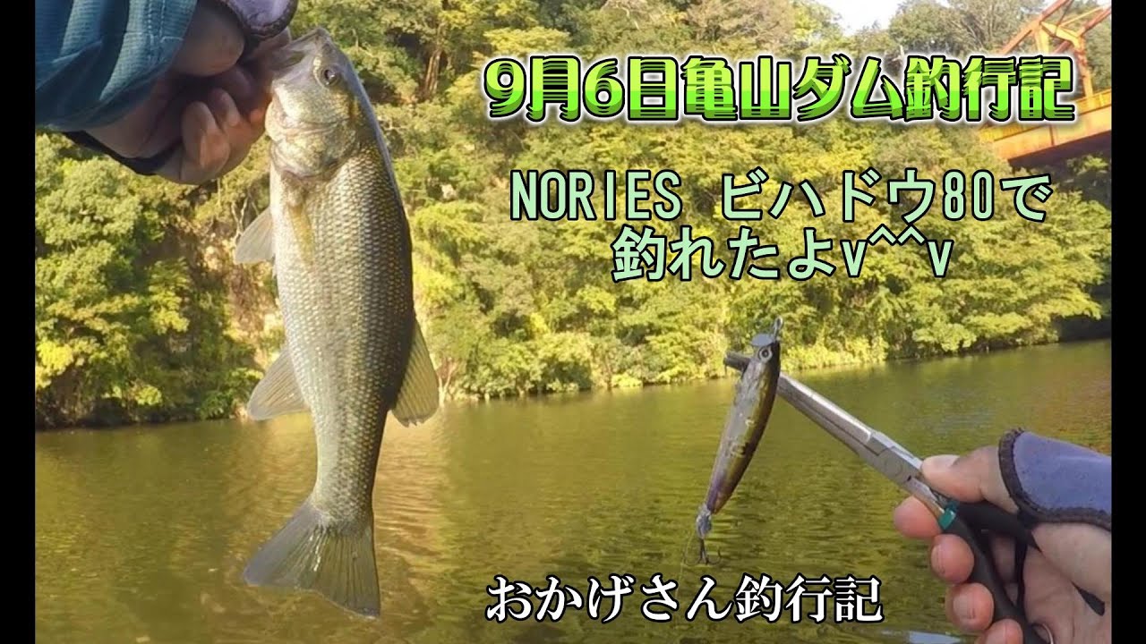 9月6日亀山ダム ～亀山湖・バス釣り～　Okagesan fishing notes Lure Fishing Large mouth bass #バス釣り #bassfishing #bass