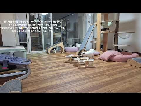 쉼터 청소 ASMR