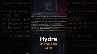 Burp Suite + Hydra Workflow for Lab Practice #ethicalhacking