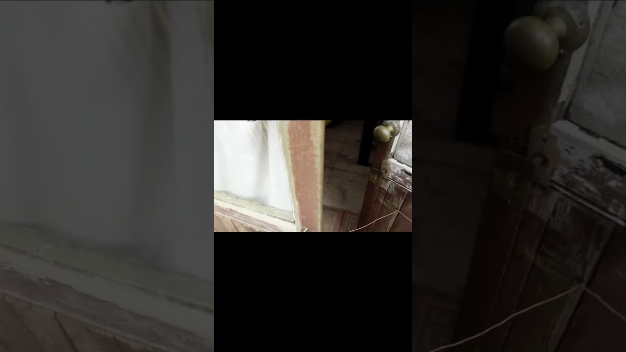 Allotment update Feb 2025 including his and hers