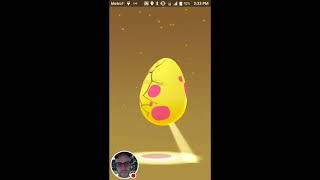 9 X 7K Egg Hatch Pokemon Go