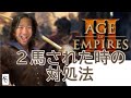 [aoe3 de] 2馬で荒らされた時の対処法を伝授します