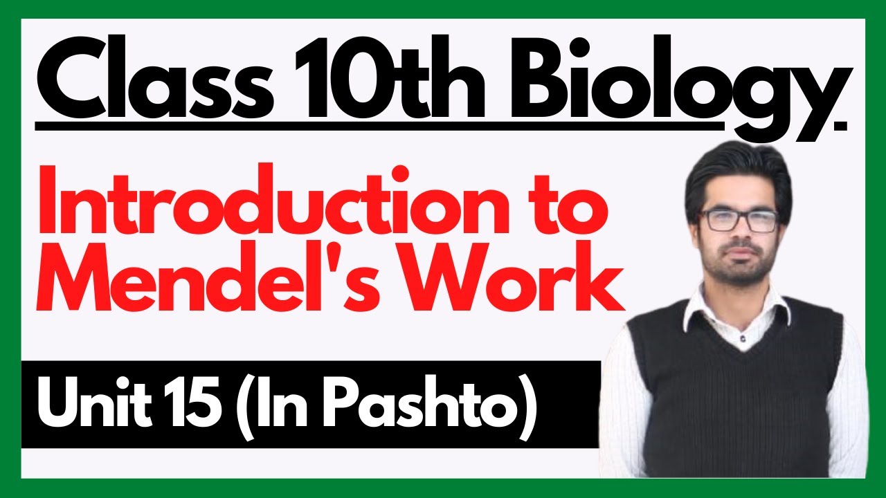 Introduction to Gregor Mendel's work | Home Of Biology