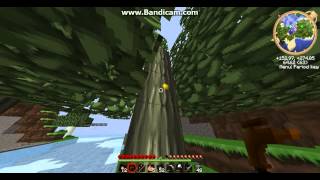 Tekkit Classic Episode 6   Rubber Trees! Net Worth