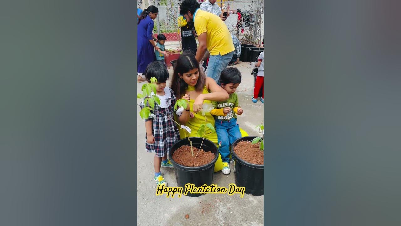 Plantation Day at Twins’ School 🌼🌼🌼🌼 #song #retro #music #twins #family #twinparents #greenery Plantation Day at Twins’ School 🌼🌼🌼🌼 #song #retro #music #twins #family #twinparents #greenery