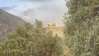 Rough Fire Shorts - Dozer work