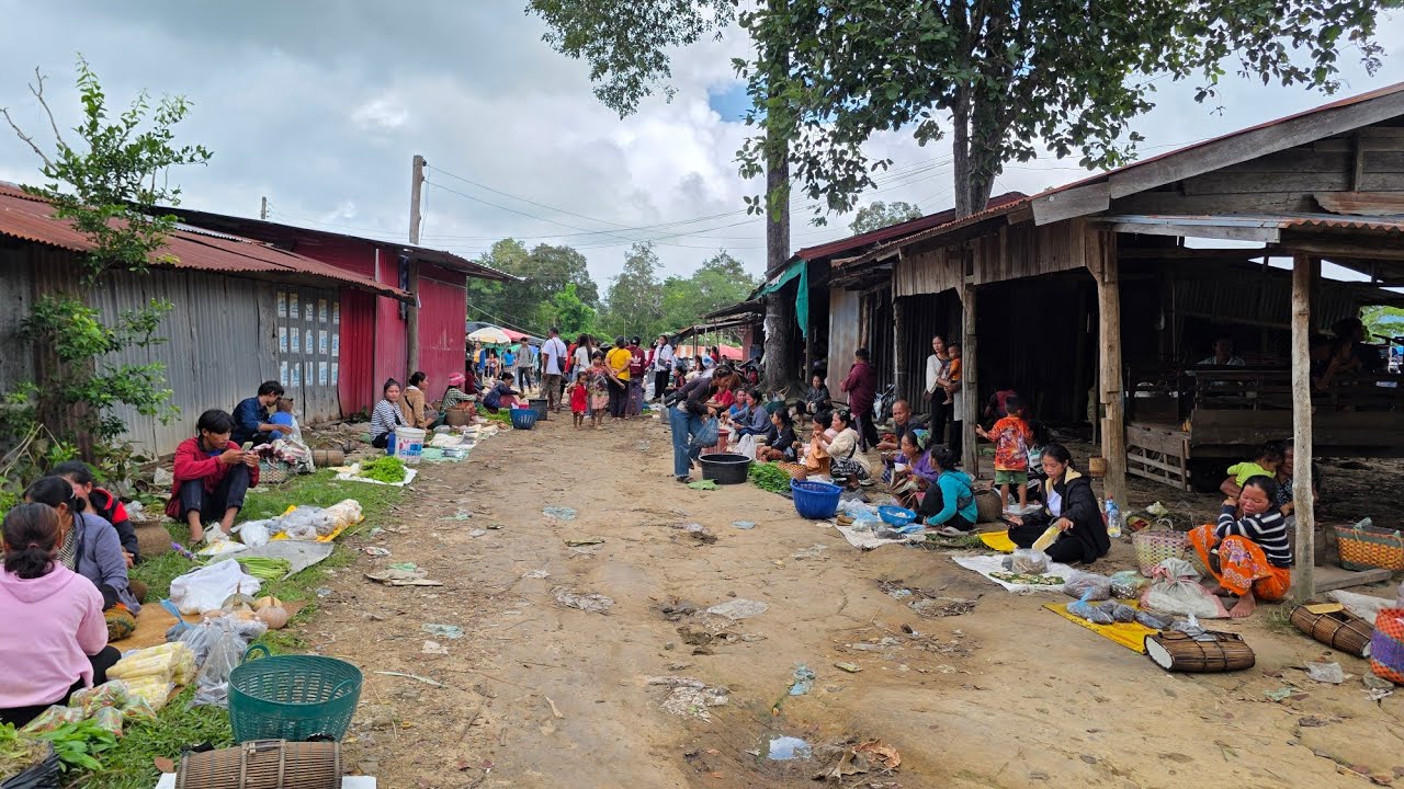 ด่านเปิดปกติ #ช่องตาอู เมืองสุขุมา ลาวใต้ | อาหารป่า อาหารธรรมชาติ ช่องตาอูวันนี้ #food 
