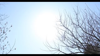 minä perhonen 2021-22 → Autumn / Winter Collection