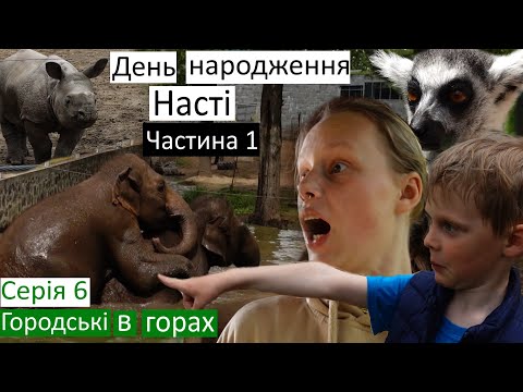 Видео: Серія 6 / Сюрприз на День народження Насті / 12 років / Зоопарк у Ньїредьгазі / Діти у захваті! /