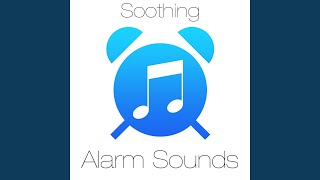 Space Turtle Alarm Sound