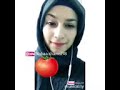 ياليتني طماطه ومضروبه بل خلاطه ياليتني طماطه ومضروبه بل خلاطه