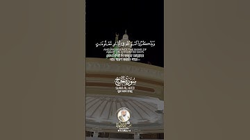 "وأذن في الناس بالحج يأتوك رجالا" سورة الحج #عبدالولي_الاركاني #abdulwali_alarkani