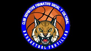 Femisur - Frutillar vs Lizh - U11