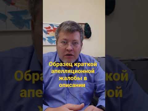 Что такое краткая апелляционная жалоба?